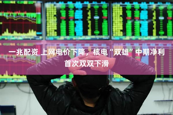 一兆配资 上网电价下降，核电“双雄”中期净利首次双双下滑