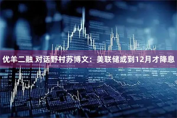 优羊二融 对话野村苏博文：美联储或到12月才降息